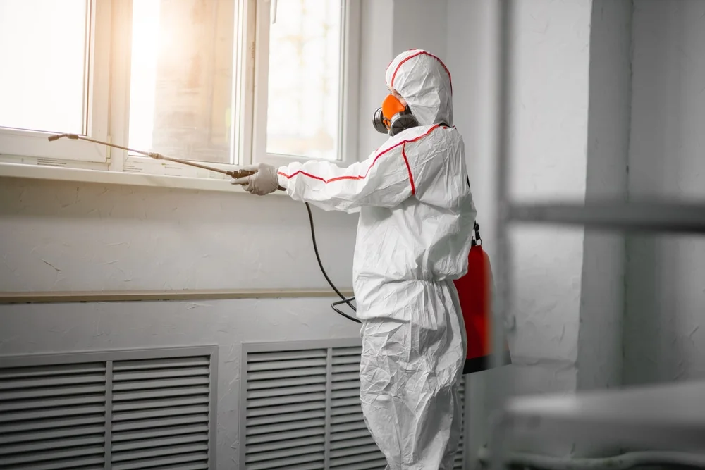 Professional mold remediation services in Mount Orab, OH
